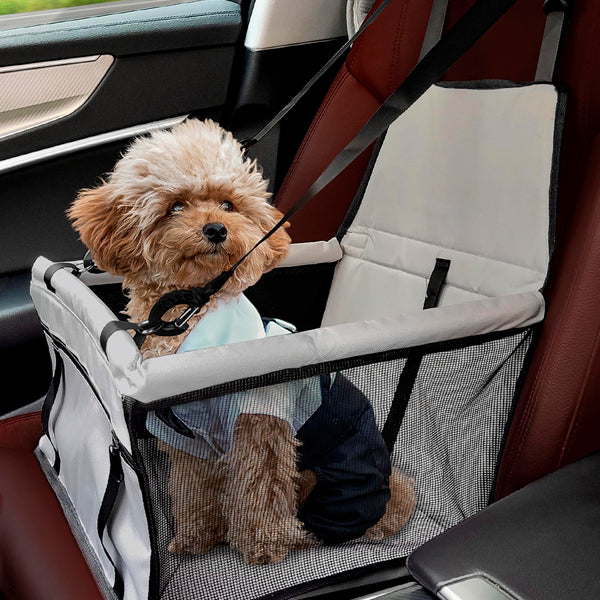 ASIENTO DE AUTO PARA MASCOTAS 🐶😍 - ENVÍO GRATIS