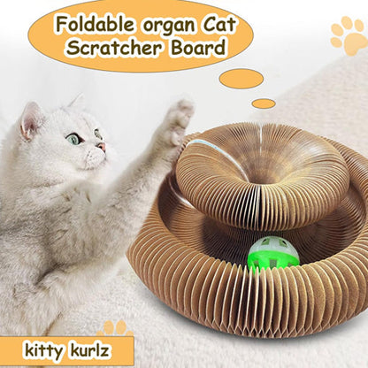 KITTY KURLZ ¡TU GATO LO AMARÁ! 🐈😍 - ENVÍO GRATIS
