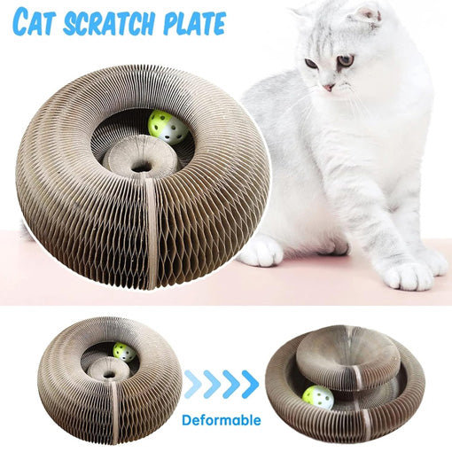 KITTY KURLZ ¡TU GATO LO AMARÁ! 🐈😍 - ENVÍO GRATIS