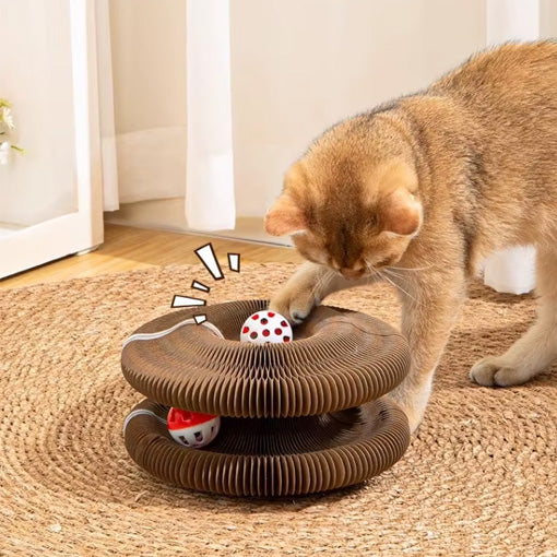 KITTY KURLZ ¡TU GATO LO AMARÁ! 🐈😍 - ENVÍO GRATIS