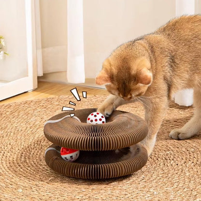 KITTY KURLZ ¡TU GATO LO AMARÁ! 🐈😍 - ENVÍO GRATIS